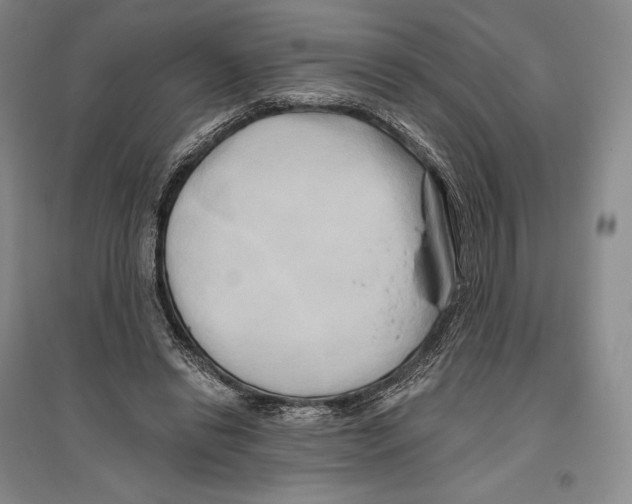 X0000096450446200802211238