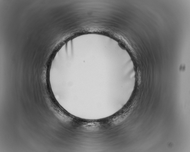 X0000096450447200802211238