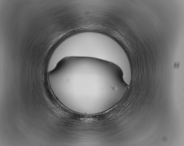 X0000096450448200802211238