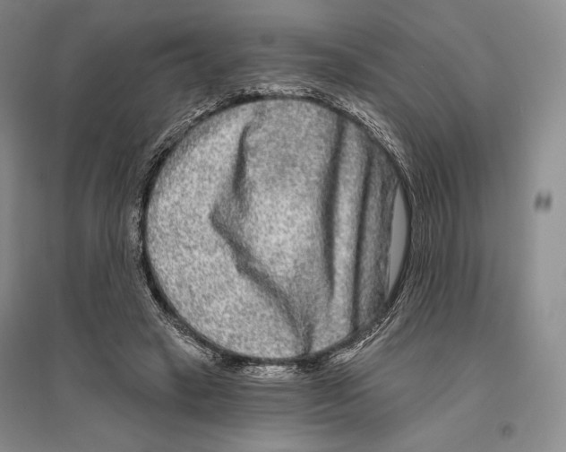 X0000096450449200802211238