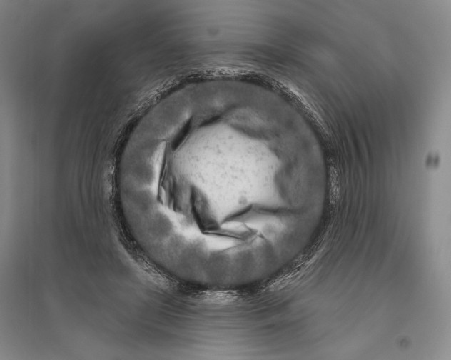 X0000096450451200802211238