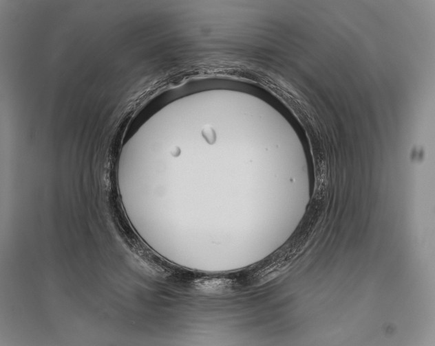 X0000096450452200802211238