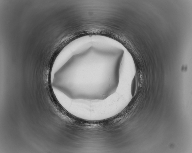 X0000096450454200802211238