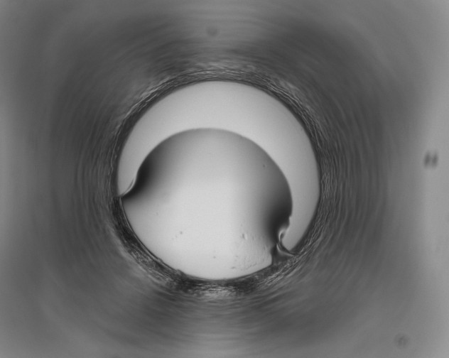 X0000096450456200802211238