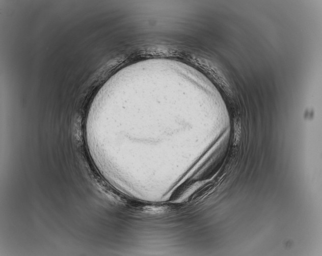 X0000096450457200802211238