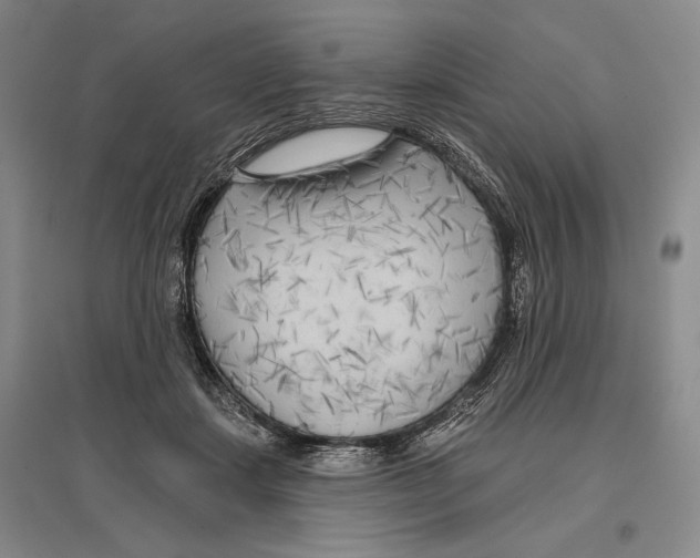 X0000096450459200802211238