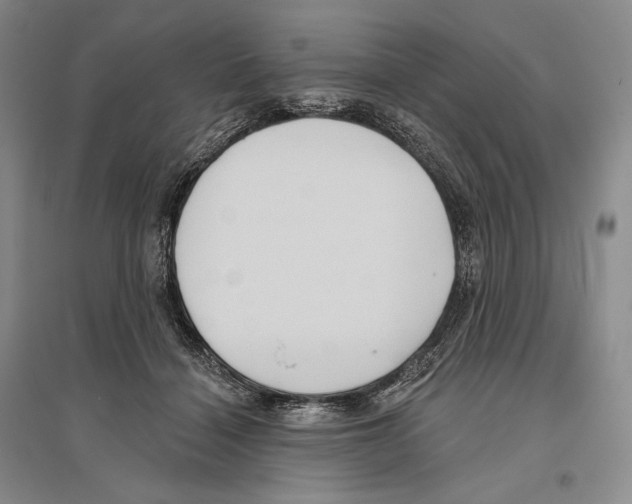 X0000096450460200802211238