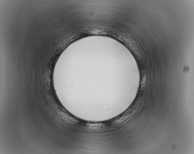 X0000096450461200802211238