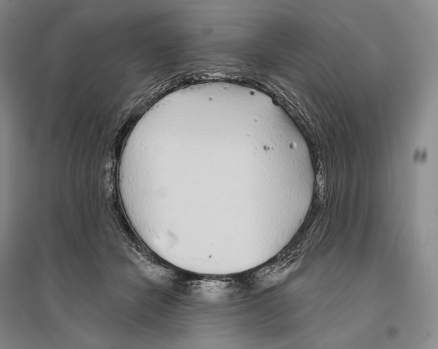 X0000096450462200802211238