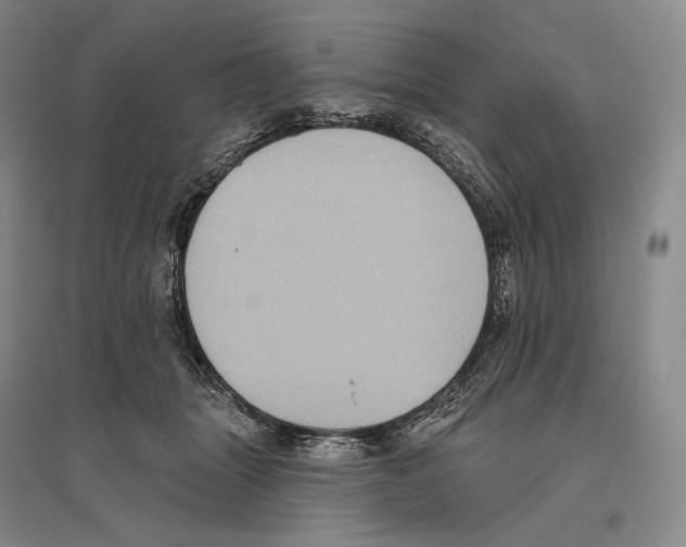 X0000096450463200802211238