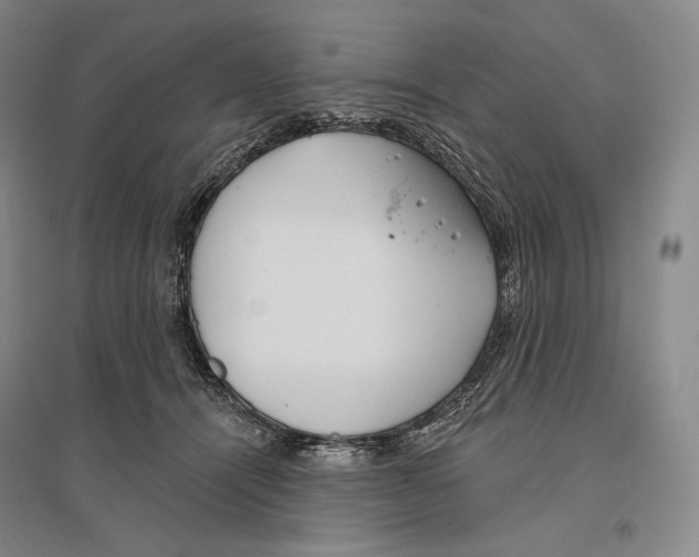 X0000096450464200802211238