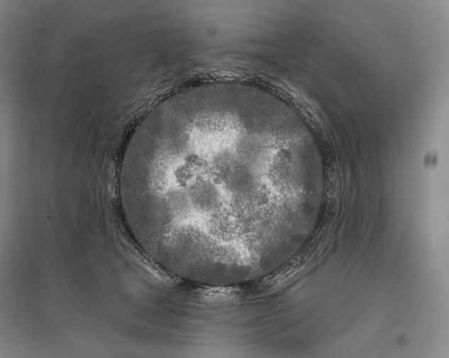 X0000096450465200802211238