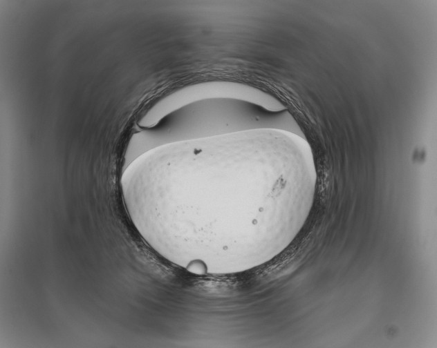 X0000096450466200802211238