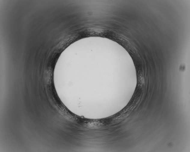 X0000096450468200802211238