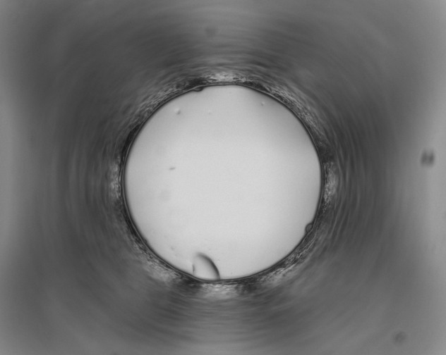 X0000096450469200802211238