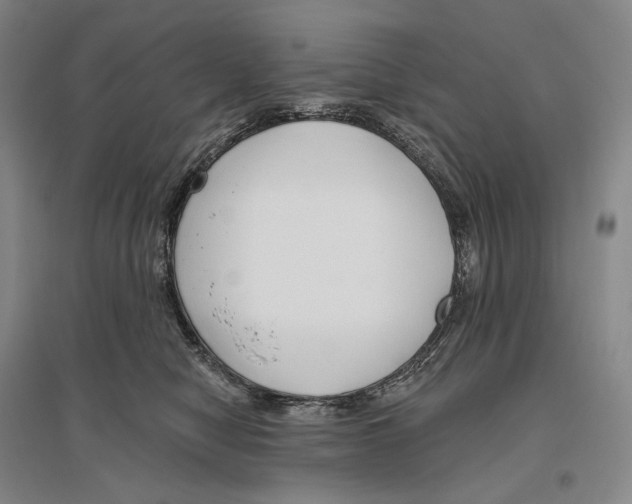 X0000096450470200802211238