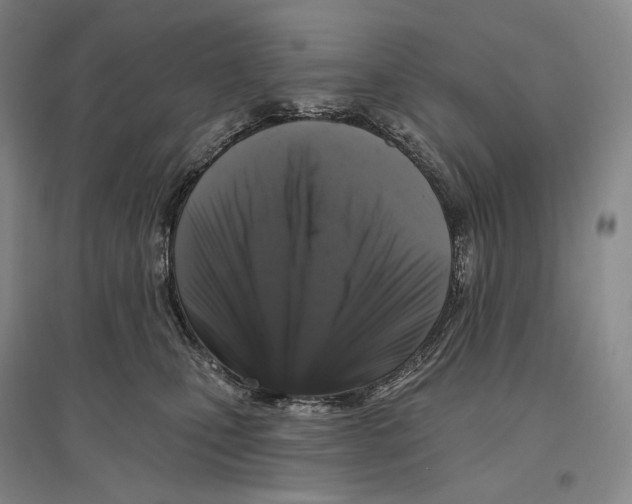 X0000096450471200802211238