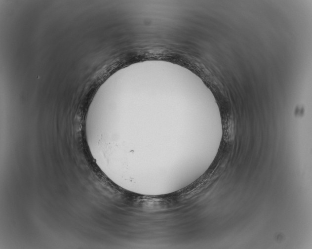 X0000096450472200802211238