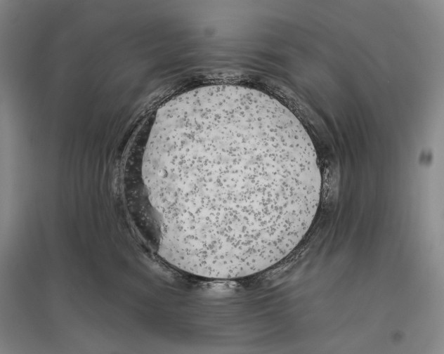 X0000096450474200802211238