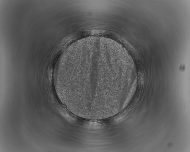 X0000096450475200802211238