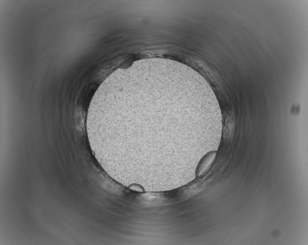 X0000096450477200802211238