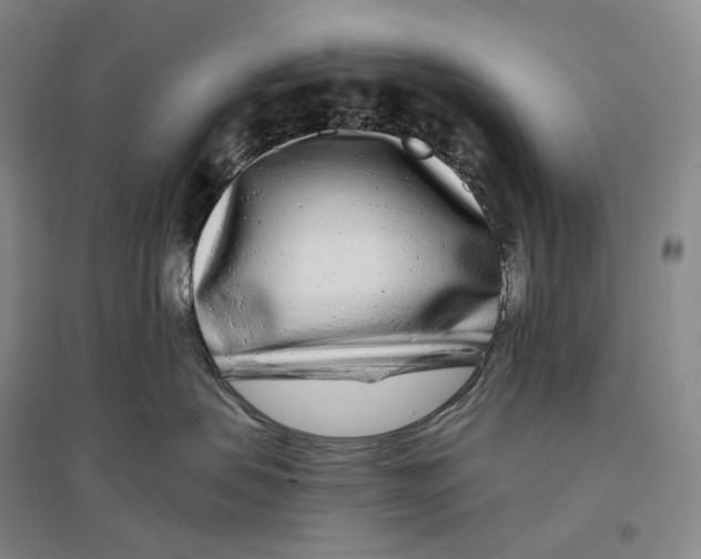 X0000096450479200802211238