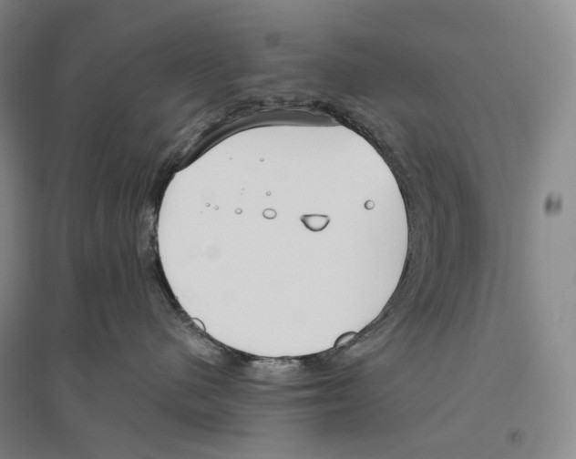 X0000096450480200802211238