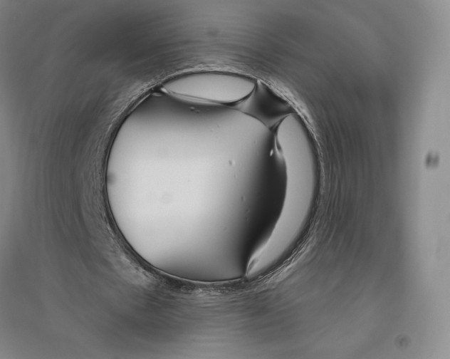 X0000096450481200802211237