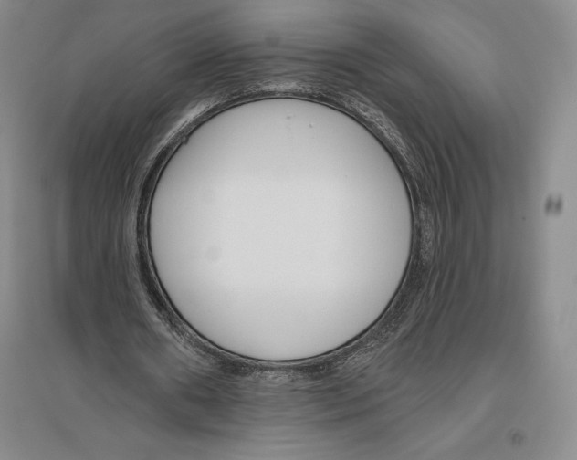 X0000096450482200802211237