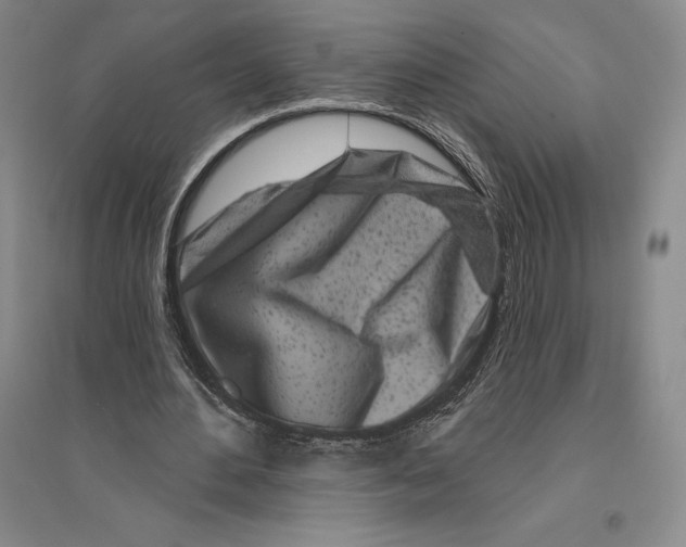 X0000096450484200802211237