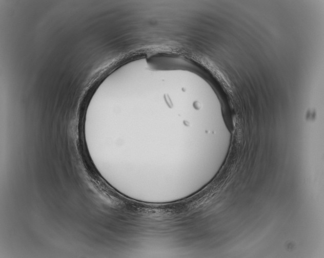 X0000096450486200802211237