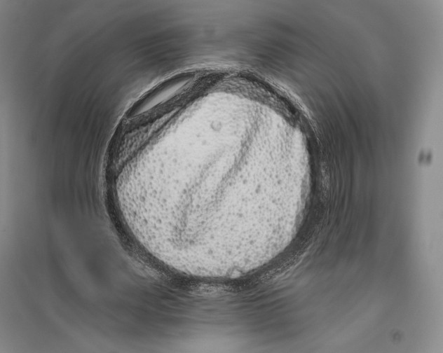 X0000096450487200802211237