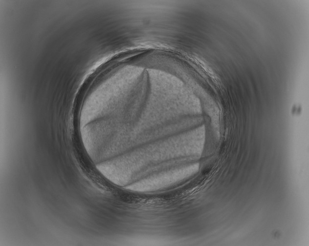 X0000096450488200802211237