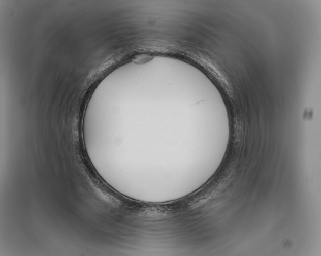 X0000096450489200802211237