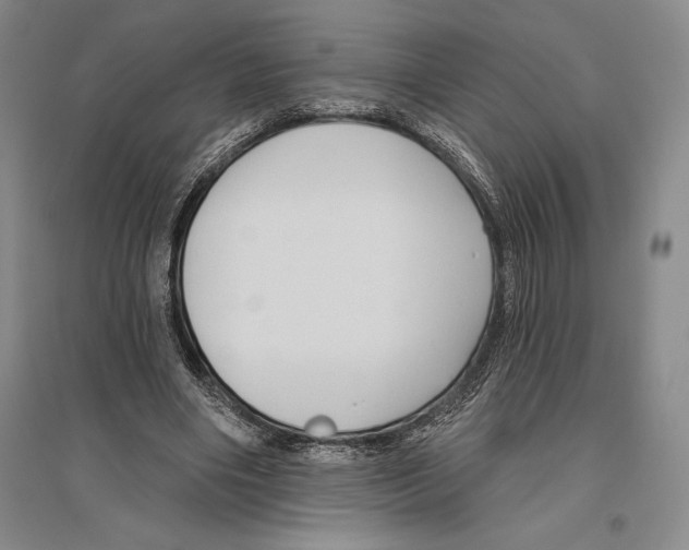 X0000096450490200802211237