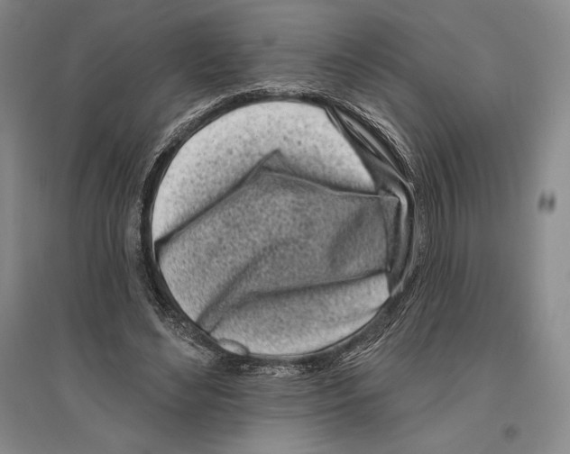 X0000096450492200802211237