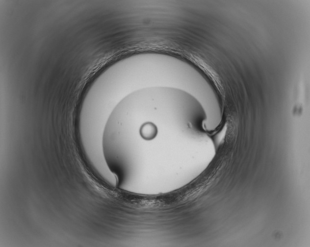 X0000096450493200802211237