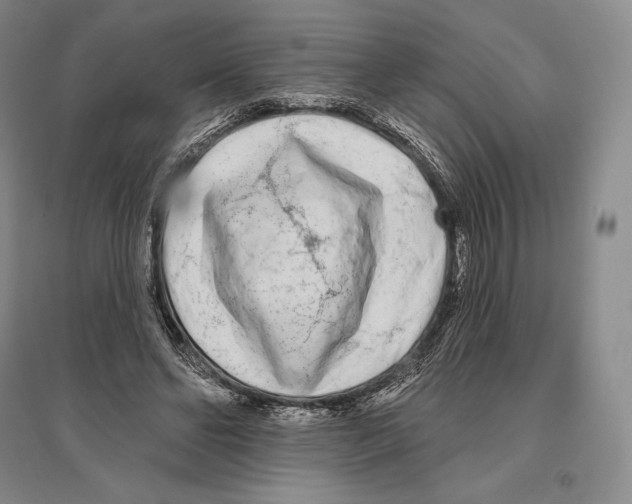 X0000096450494200802211237