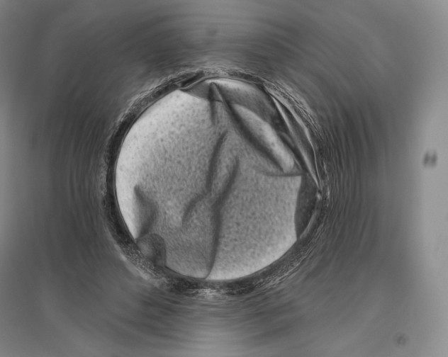 X0000096450496200802211237