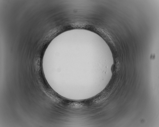 X0000096450498200802211237