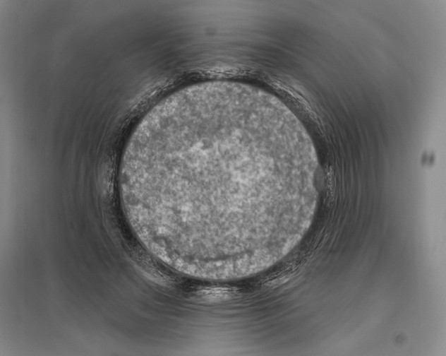 X0000096450499200802211237