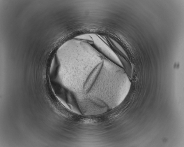 X0000096450500200802211237