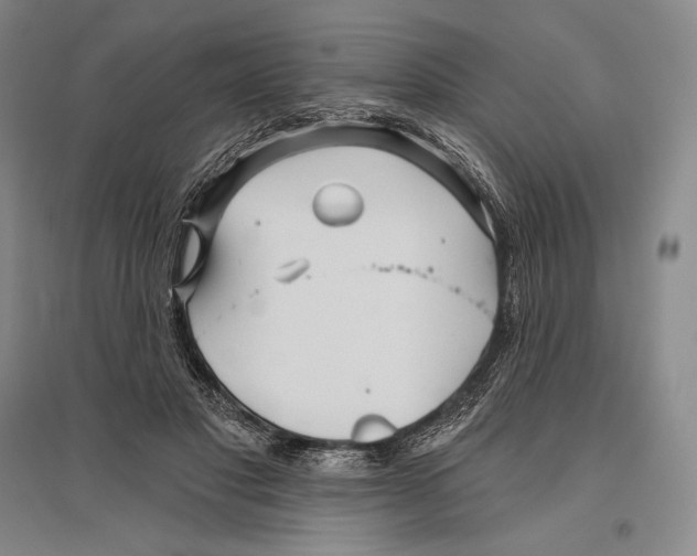 X0000096450501200802211237