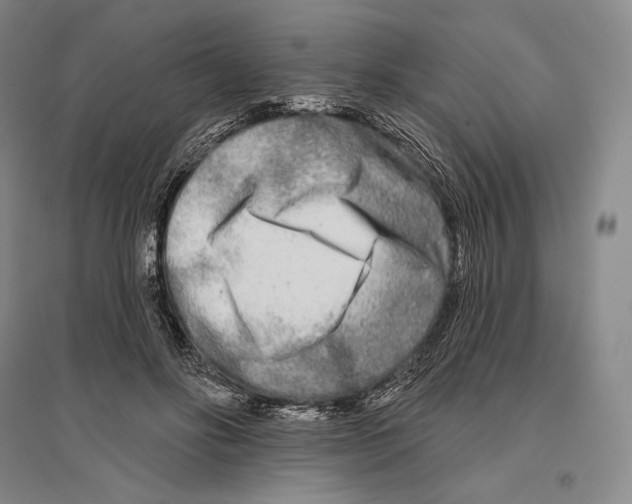 X0000096450502200802211237