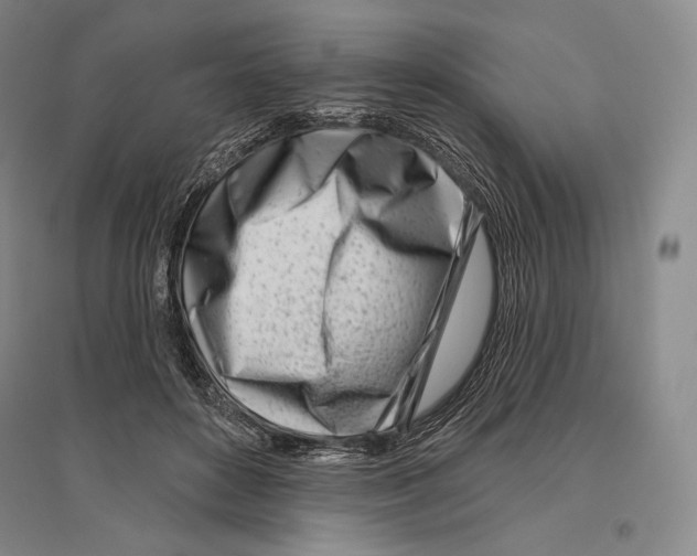 X0000096450504200802211237