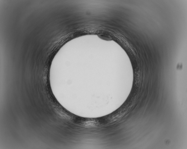 X0000096450505200802211237