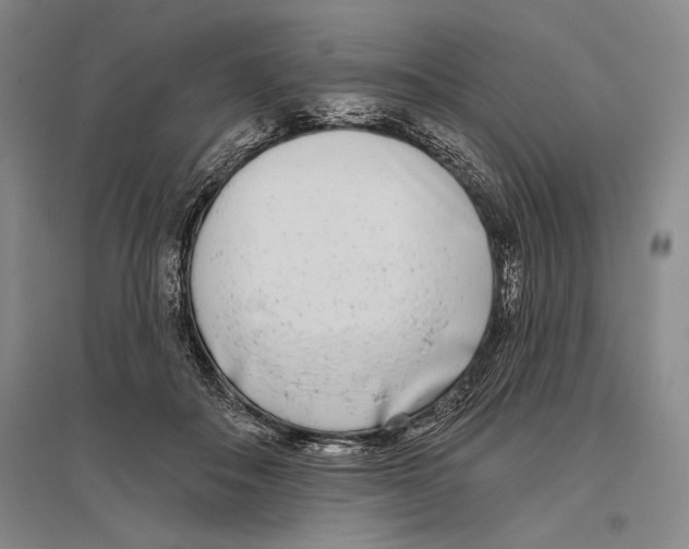 X0000096450506200802211237