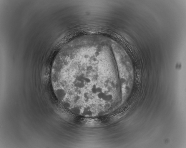 X0000096450507200802211237