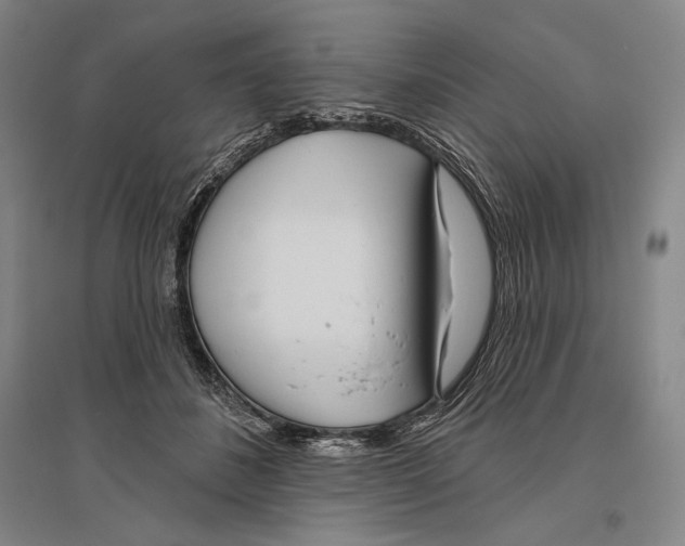 X0000096450508200802211237