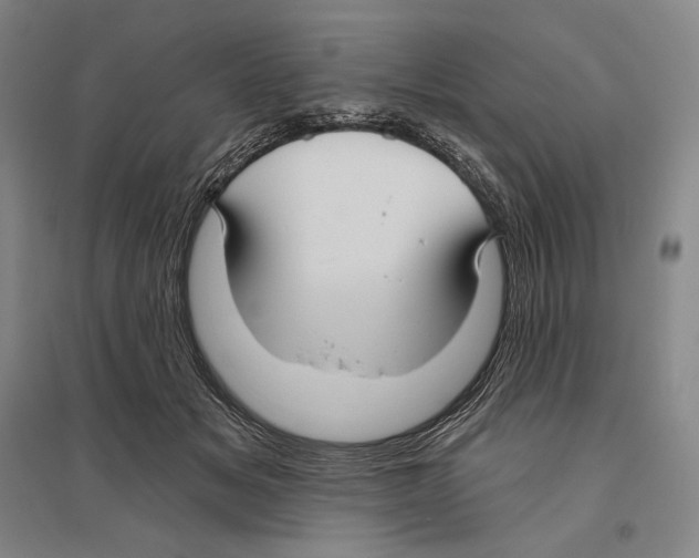 X0000096450509200802211237